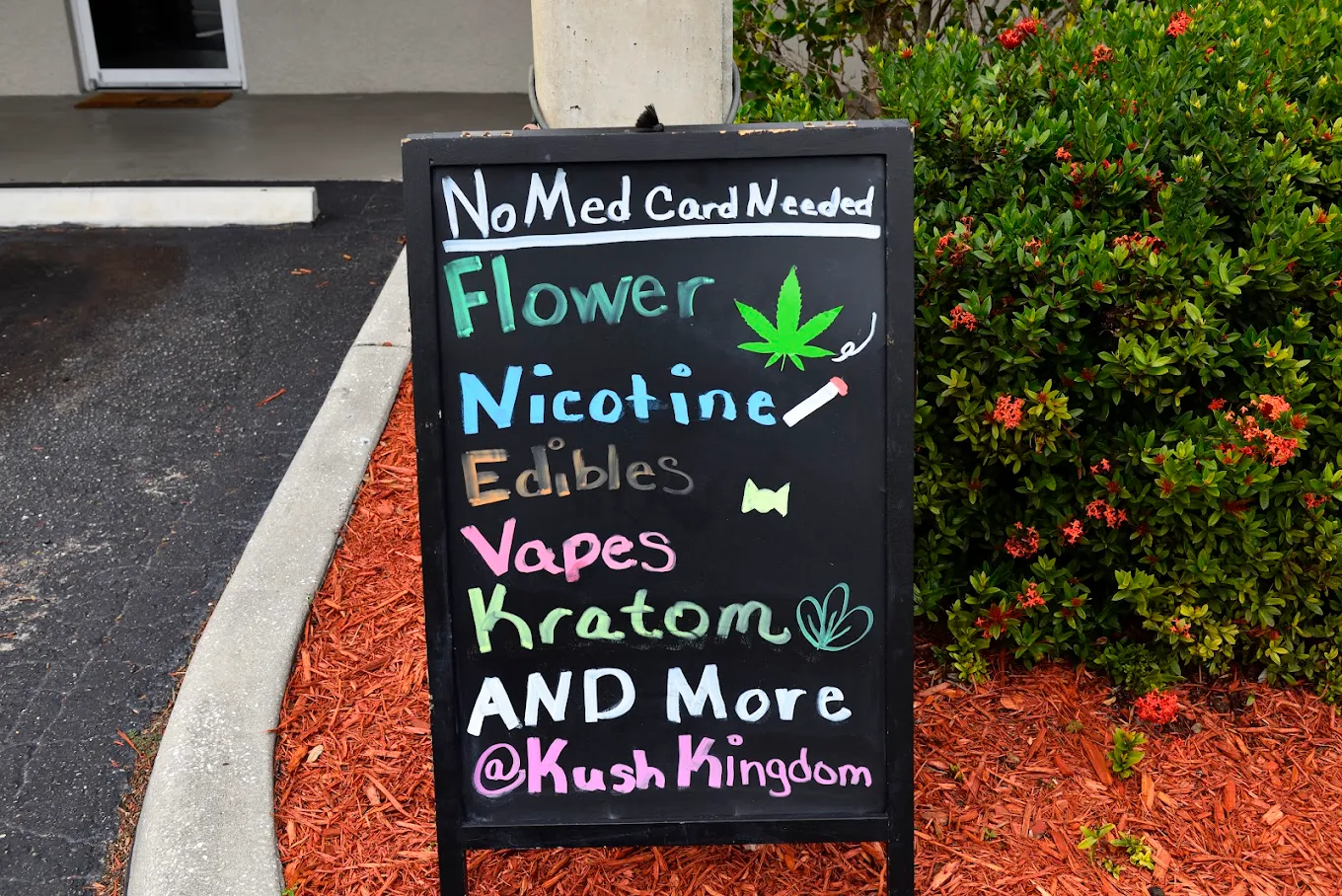 Flower